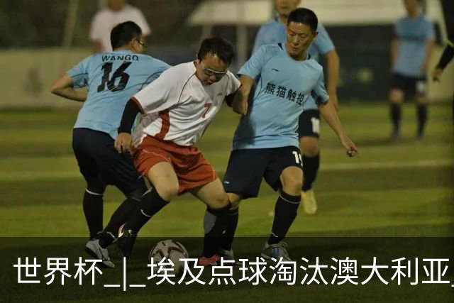 世界杯 | 埃及点球淘汰澳大利亚 亚洲区球队全部出局