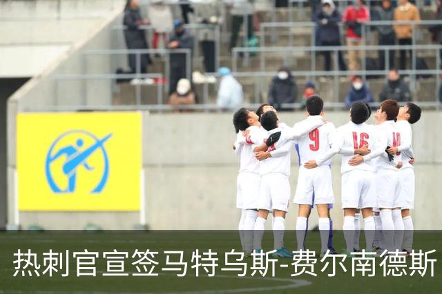 热刺官宣签马特乌斯-费尔南德斯 转会费8500万镑破纪录