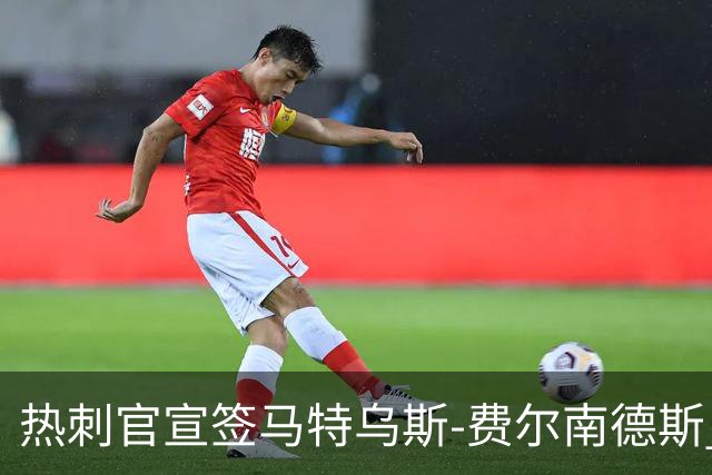 热刺官宣签马特乌斯-费尔南德斯 转会费8500万镑破纪录